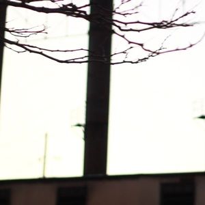 Meet your Posher, Quin